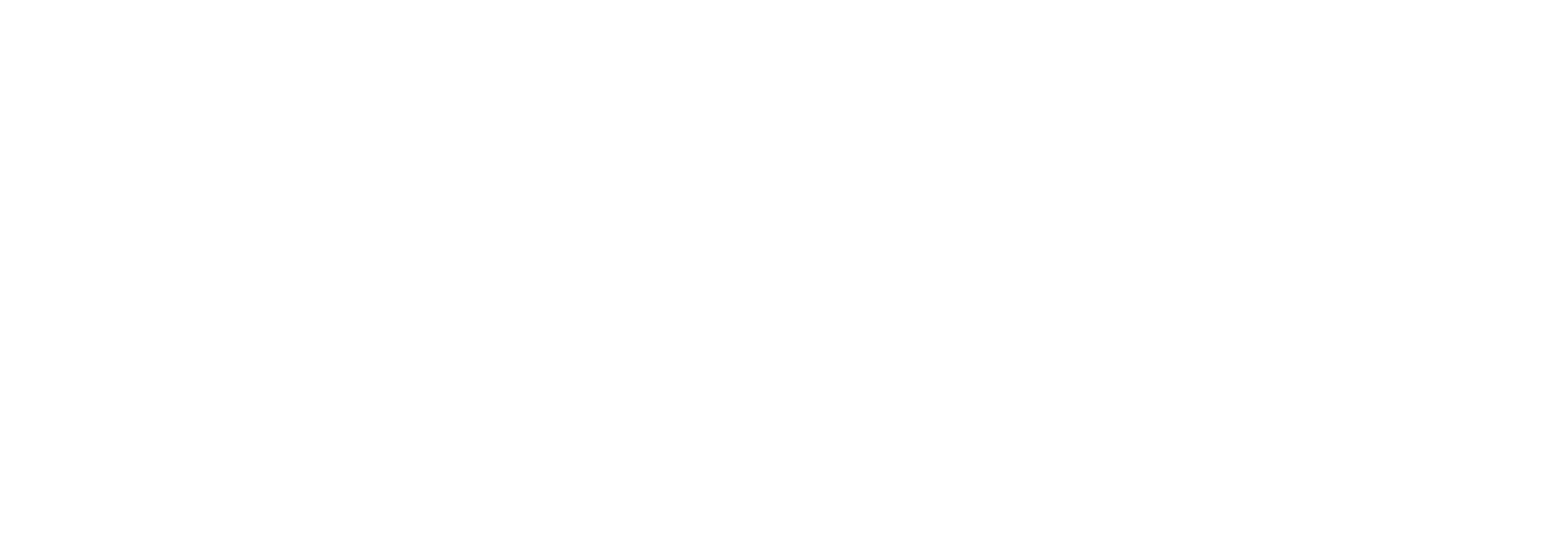 Native Webs Studios